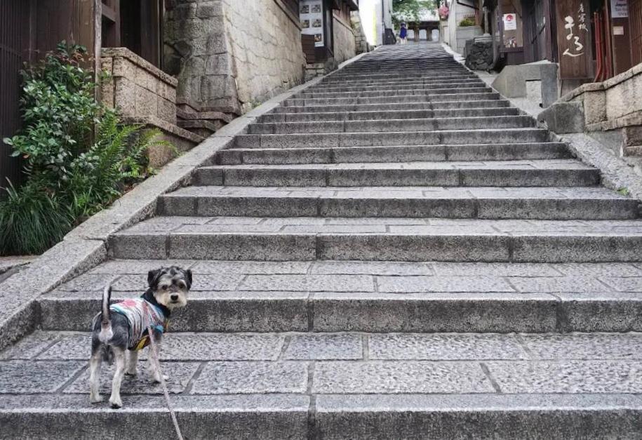Hanakiya Kyoto Bagian luar foto